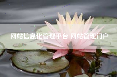 网站信息化管理平台 网站管理门户
