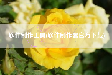 软件制作工具(软件制作器官方下载)