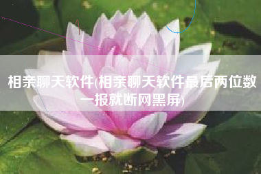 相亲聊天软件(相亲聊天软件最后两位数一报就断网黑屏)