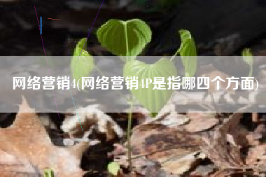 网络营销4(网络营销4P是指哪四个方面)