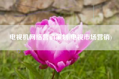 电视机网络营销策划(电视市场营销)