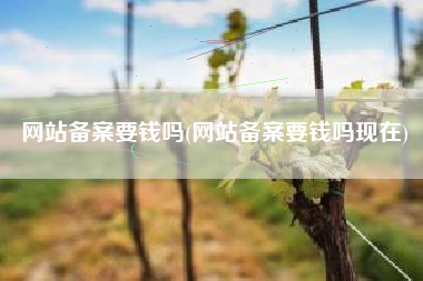 网站备案要钱吗(网站备案要钱吗现在)