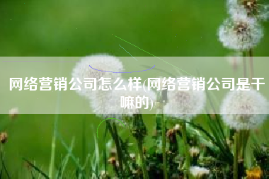网络营销公司怎么样(网络营销公司是干嘛的)
