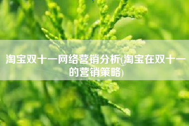 淘宝双十一网络营销分析(淘宝在双十一的营销策略)