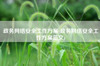 政务网络安全工作方案(政务网络安全工作方案范文)