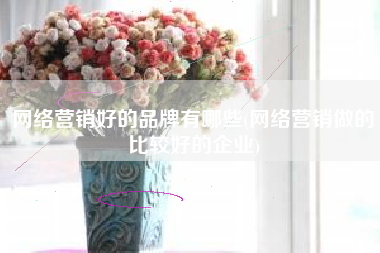 网络营销好的品牌有哪些(网络营销做的比较好的企业)