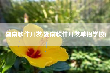 湖南软件开发(湖南软件开发单招学校)