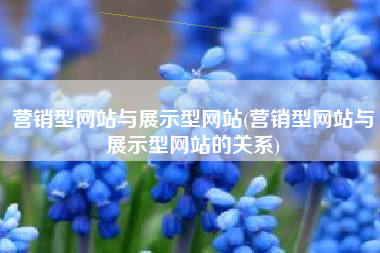营销型网站与展示型网站(营销型网站与展示型网站的关系)