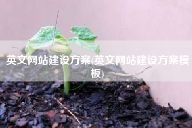 英文网站建设方案(英文网站建设方案模板)