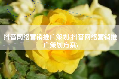 抖音网络营销推广策划(抖音网络营销推广策划方案)