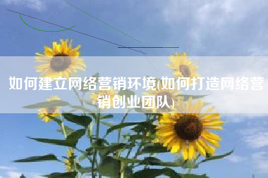 如何建立网络营销环境(如何打造网络营销创业团队)