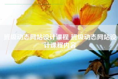 班级动态网站设计课程 班级动态网站设计课程内容