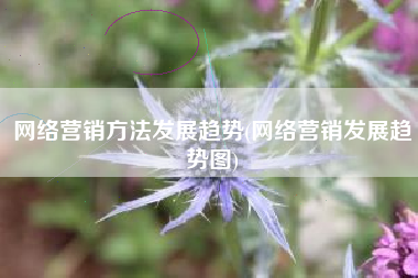 网络营销方法发展趋势(网络营销发展趋势图)