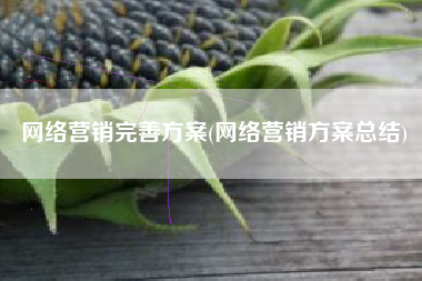 网络营销完善方案(网络营销方案总结)