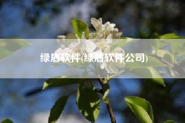 绿盾软件(绿盾软件公司)