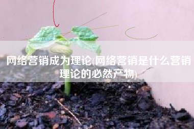 网络营销成为理论(网络营销是什么营销理论的必然产物)