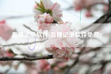 血糖记录软件(血糖记录软件免费)