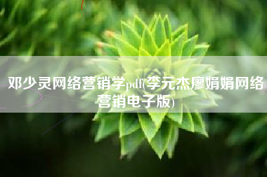 邓少灵网络营销学pdf(李元杰廖娟娟网络营销电子版)