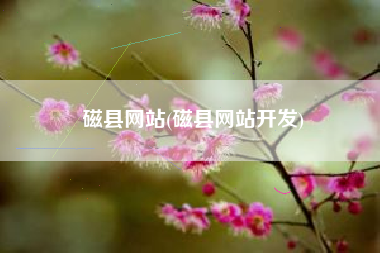 磁县网站(磁县网站开发)
