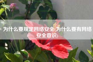 为什么要规定网络安全(为什么要有网络安全意识)