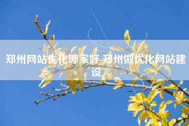 郑州网站优化哪家好 郑州做优化网站建设