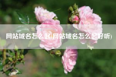网站域名怎么起(网站域名怎么起好听)