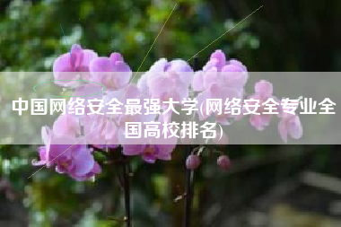 中国网络安全最强大学(网络安全专业全国高校排名)