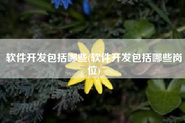 软件开发包括哪些(软件开发包括哪些岗位)