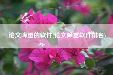 论文降重的软件(论文降重软件排名)