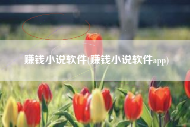 赚钱小说软件(赚钱小说软件app)