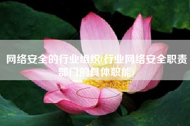 网络安全的行业组织(行业网络安全职责部门的具体职能)