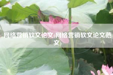 网络营销软文论文(网络营销软文论文范文)