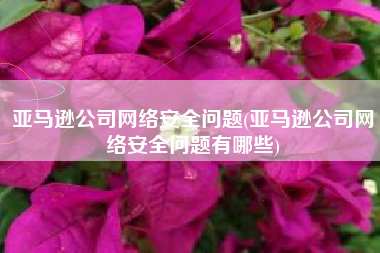 亚马逊公司网络安全问题(亚马逊公司网络安全问题有哪些)