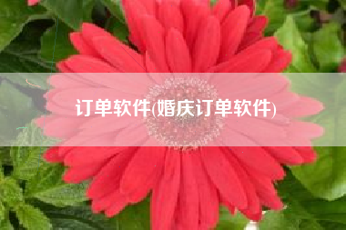 订单软件(婚庆订单软件)