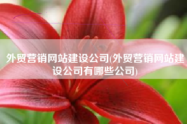 外贸营销网站建设公司(外贸营销网站建设公司有哪些公司)