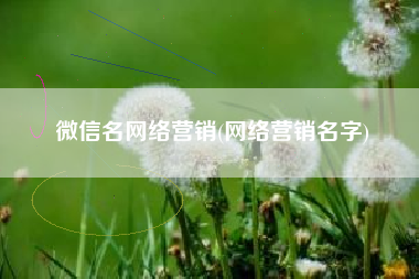 微信名网络营销(网络营销名字)