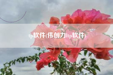 tp软件(伟创力ltp软件)