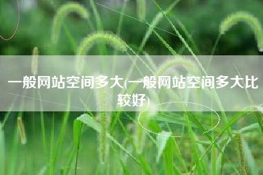 一般网站空间多大(一般网站空间多大比较好)