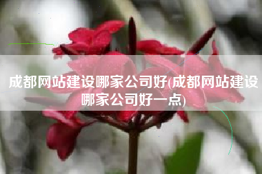 成都网站建设哪家公司好(成都网站建设哪家公司好一点)