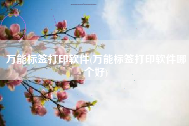 万能标签打印软件(万能标签打印软件哪个好)