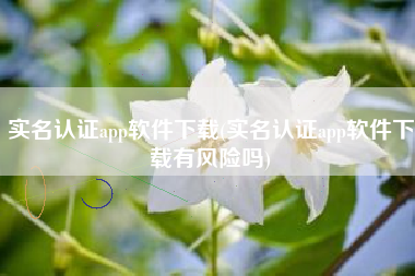 实名认证app软件下载(实名认证app软件下载有风险吗)