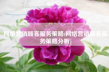 网络营销顾客服务策略(网络营销顾客服务策略分析)