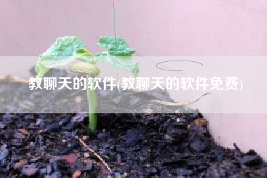 教聊天的软件(教聊天的软件免费)