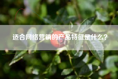适合网络营销的产品特征是什么？