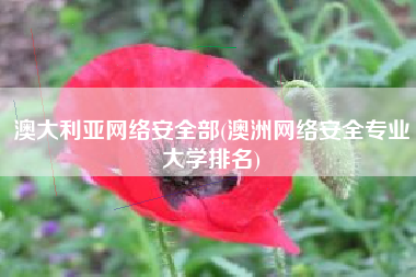 澳大利亚网络安全部(澳洲网络安全专业大学排名)