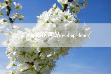 ecshop做的网站(ecshop demo)