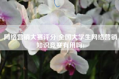 网络营销大赛评分(全国大学生网络营销知识竞赛有用吗)