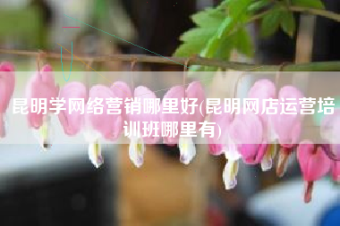 昆明学网络营销哪里好(昆明网店运营培训班哪里有)