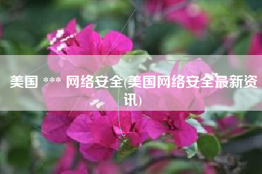 美国 *** 网络安全(美国网络安全最新资讯)