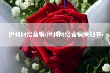 伊利网络营销(伊利网络营销策划书)